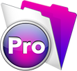 FileMaker Pro Logo 