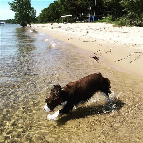 This is how we spent a lot of our summer.  Jumping IN and OUT of Lake Huron! 