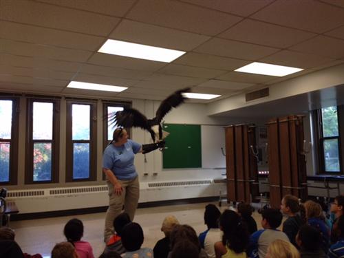 Hunters of the Sky Program  