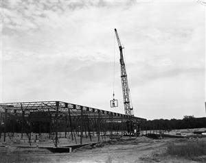 Crane 
